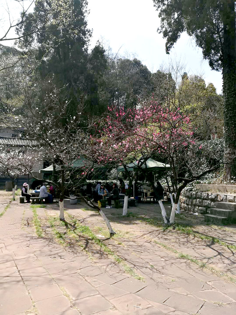 云顶集团·(中国)手机版app下载