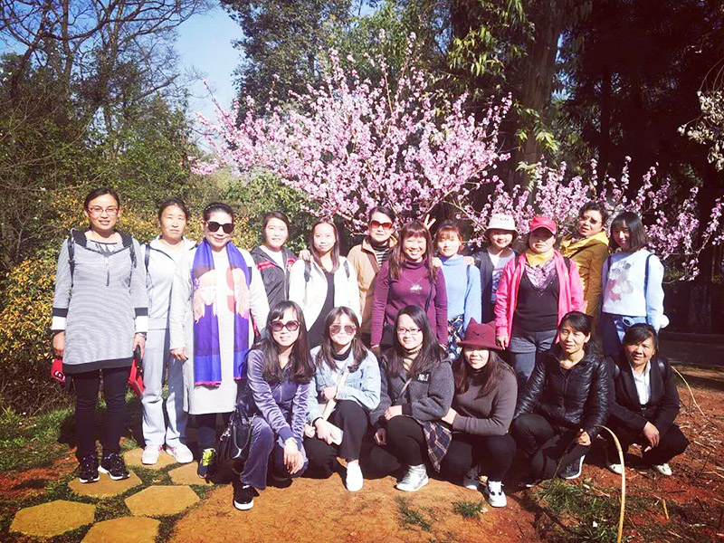 云顶集团·(中国)手机版app下载