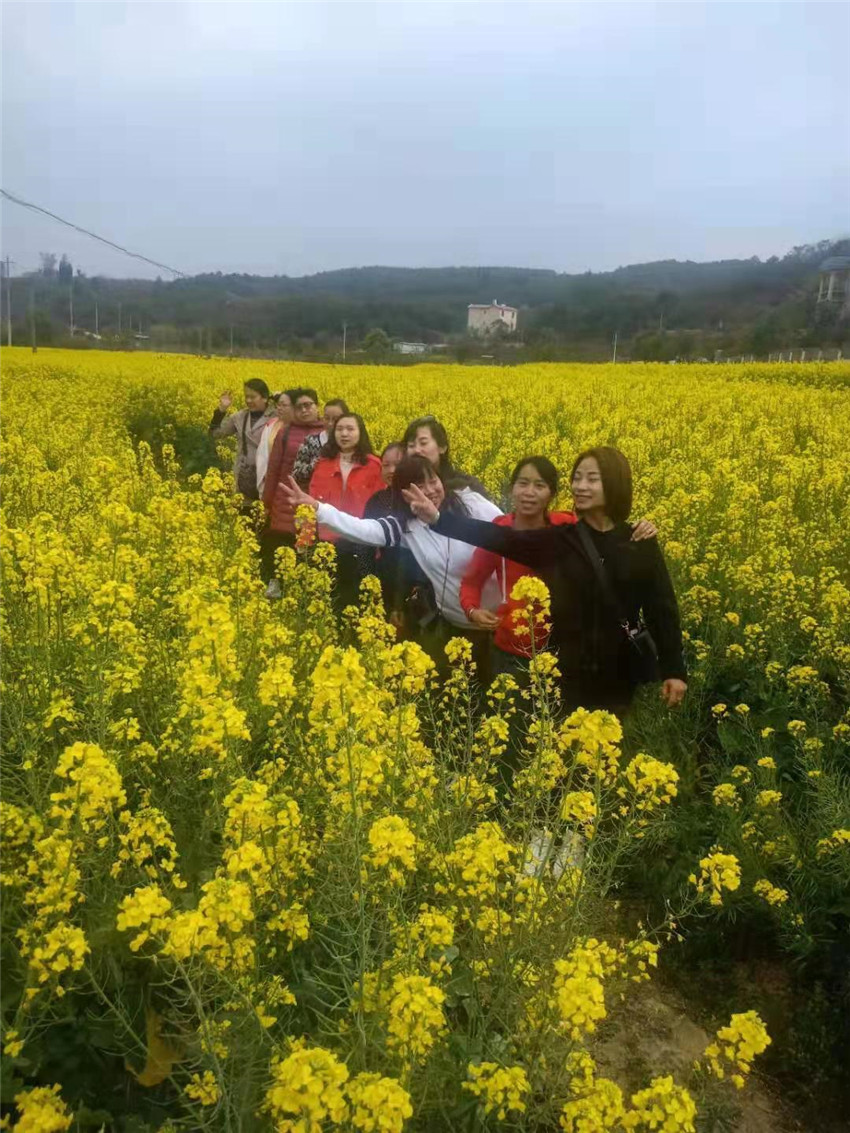 云顶集团·(中国)手机版app下载